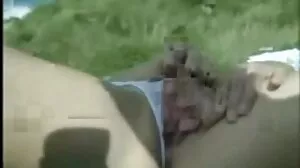 జైడెన్