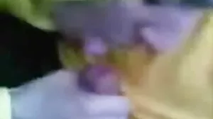 అలెక్సా వేగా